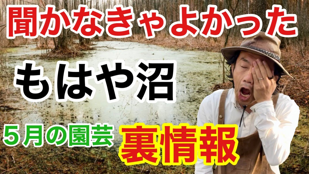 【全部聞いたら戻れない】元店長が2022年5月の園芸裏情報バラします　　　【カーメン君】【園芸】【ガーデニング】【初心者】