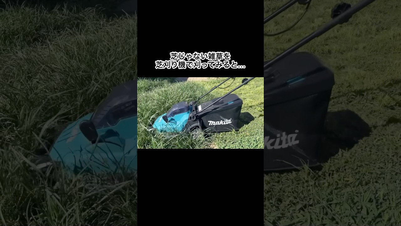 芝じゃない雑草を芝刈り機で刈ってみた #shorts