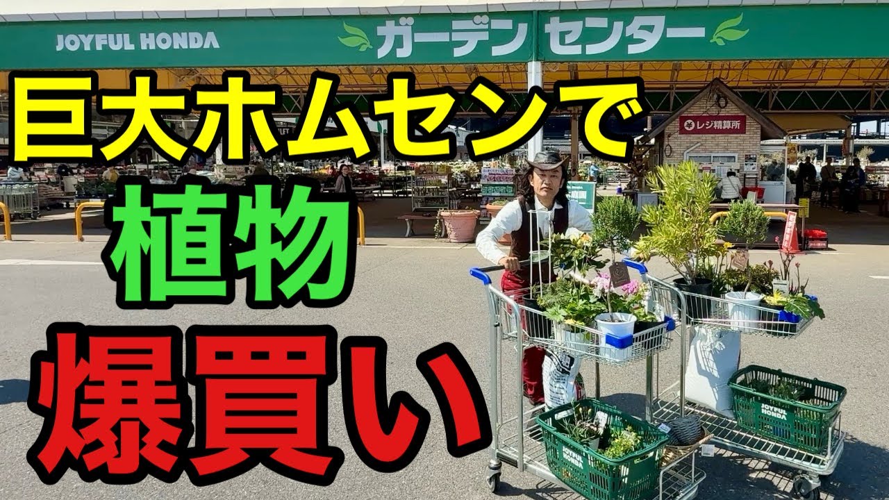 【なんだここは！】植物欲が抑えられなくなりまた爆買いしてしまった。。。　　【ジョイフル本田】