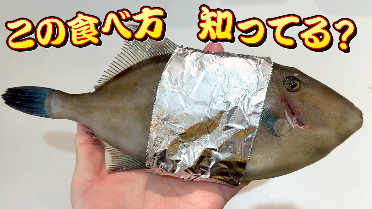 今！この魚を絶対食べてください。カワハギより美味いです。