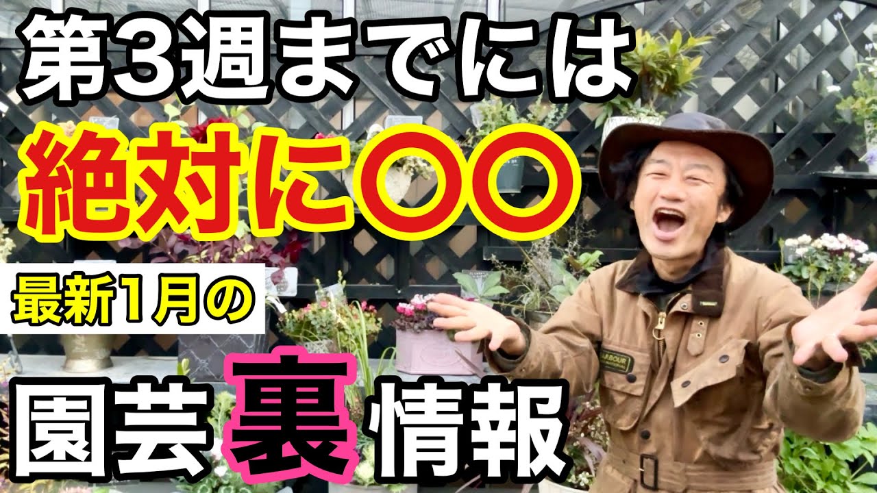 【暖冬過ぎて…】2024年1月に買って損する物得する物正直に教えます　　　　【カーメン君】【園芸】【ガーデニング】【初心者】