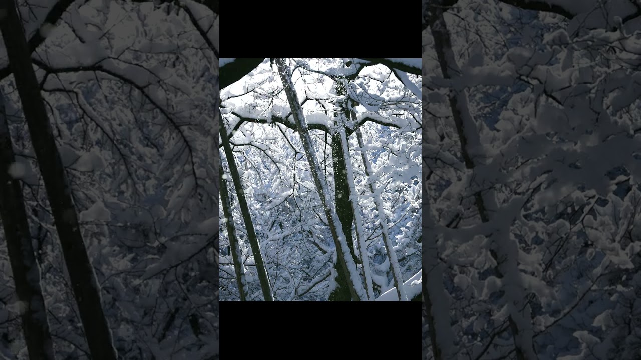 12時間で無くなる雪景色 #shorts