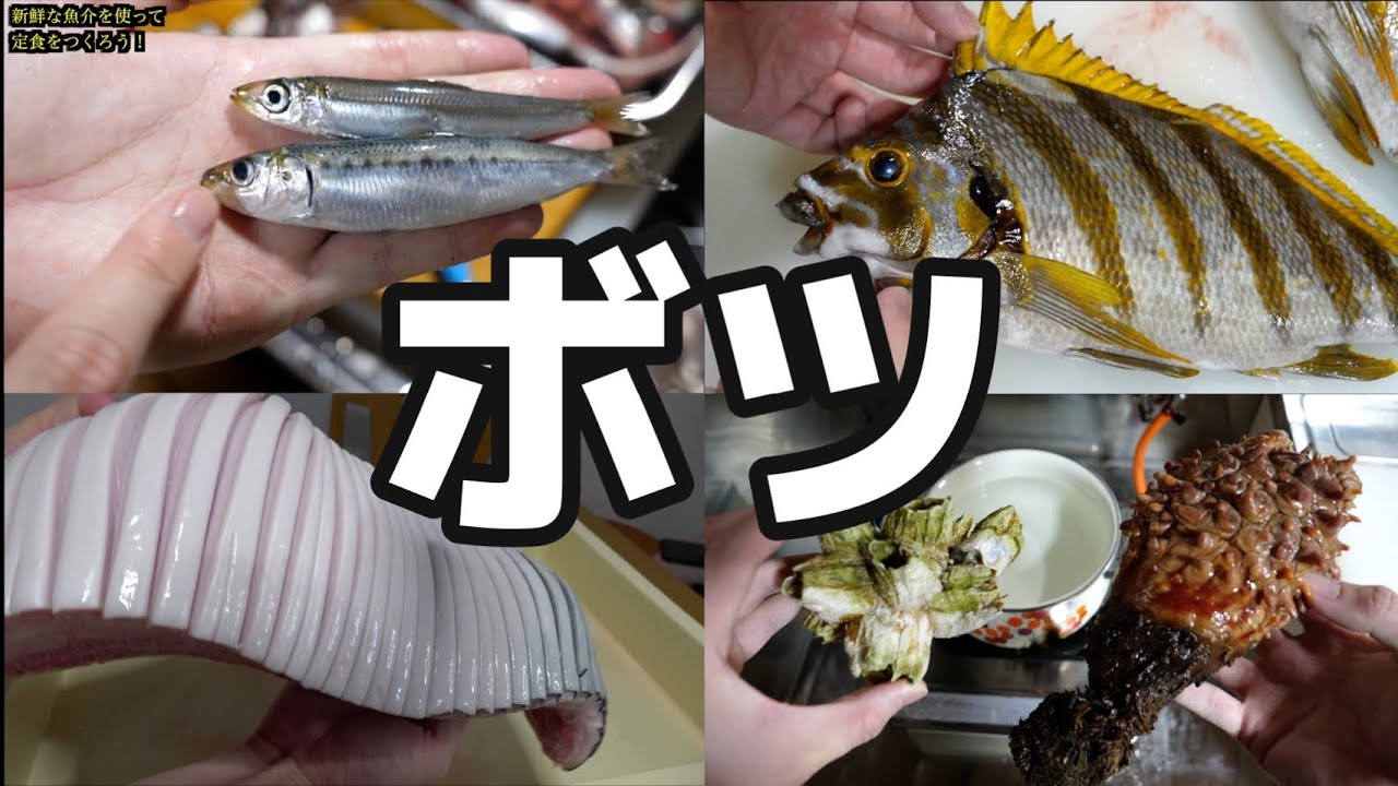 今年きまぐれにボツにした動画集