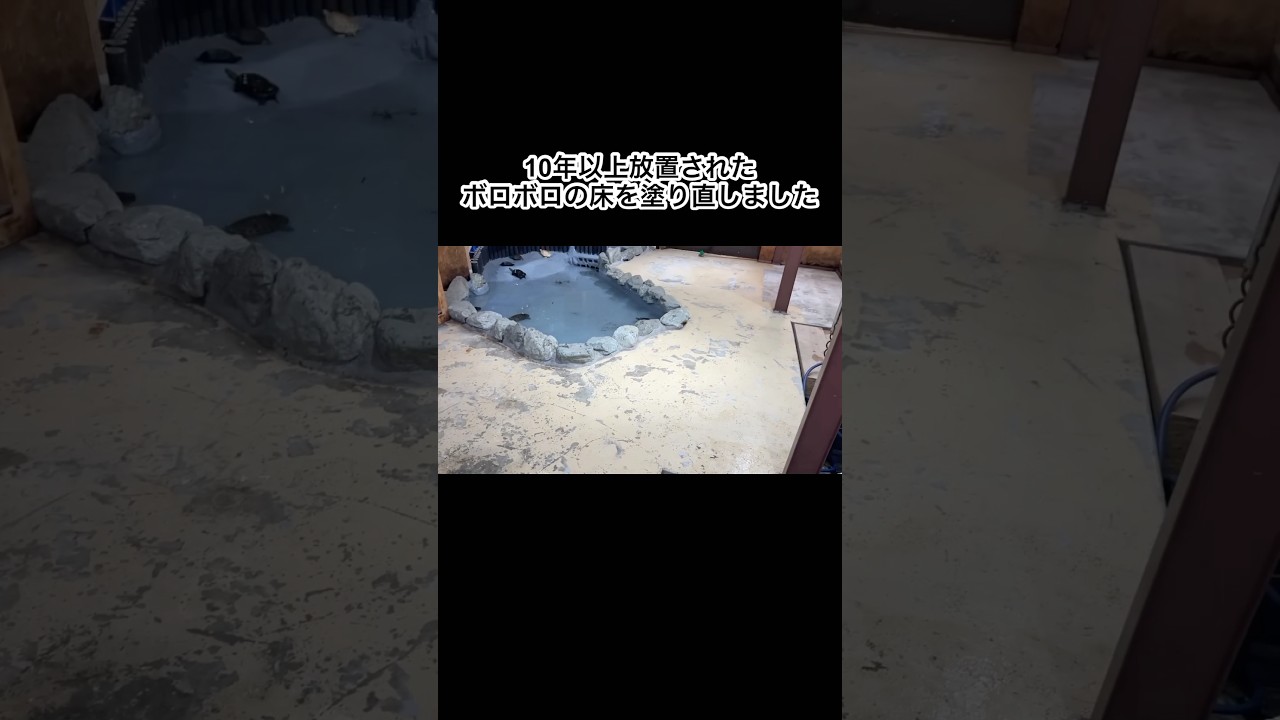 10年以上放置されたボロボロの床を塗り直すの気持ち良すぎ　#shorts