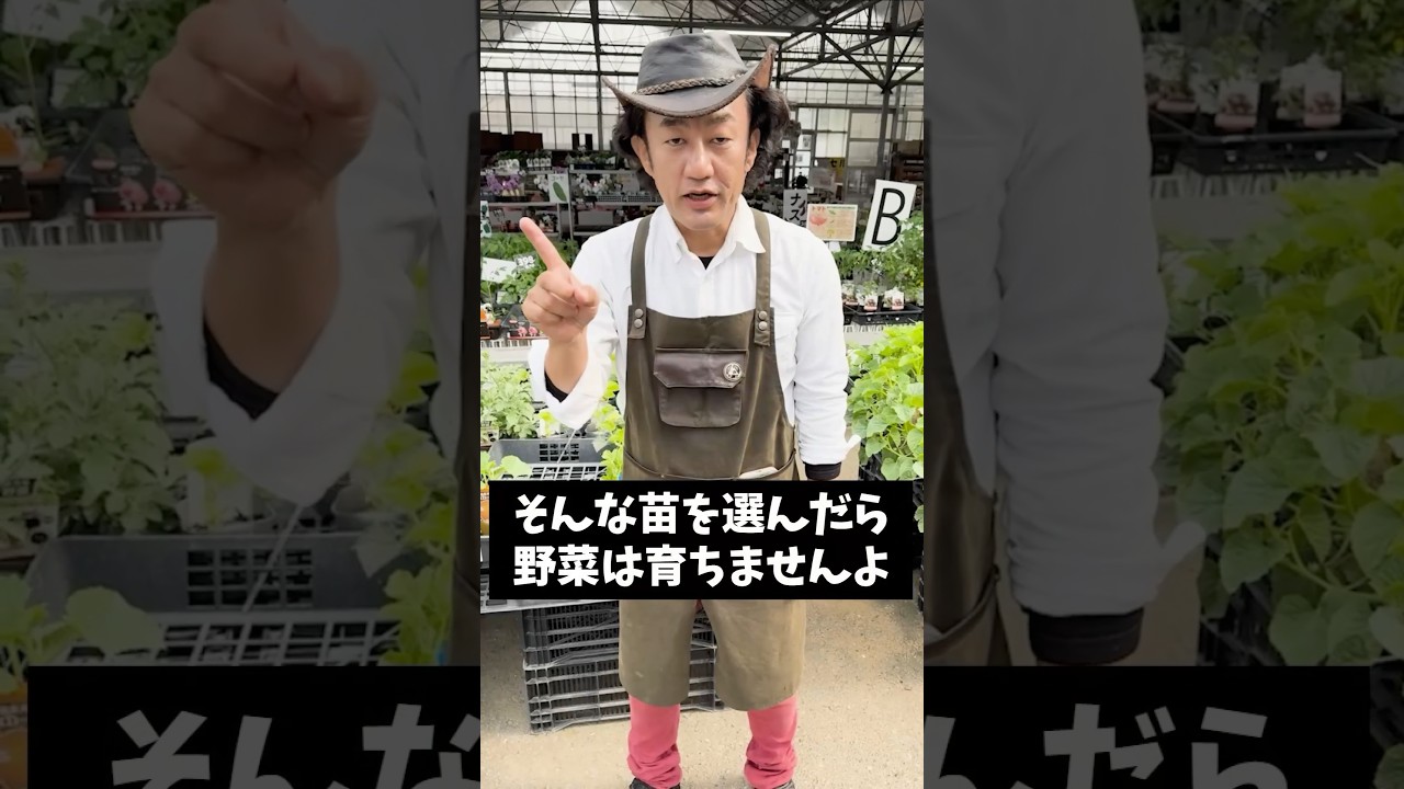 野菜苗選びの極意　 #shorts #散水 #タカギ #カーメン君