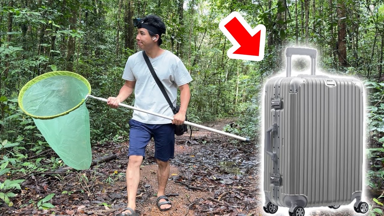 海外で虫取りをする時に何を持って行けば良いか紹介します