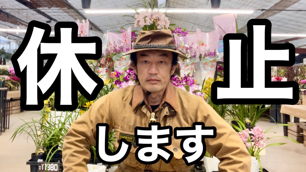 カーメン君ガーデンチャンネルファンの皆様へ