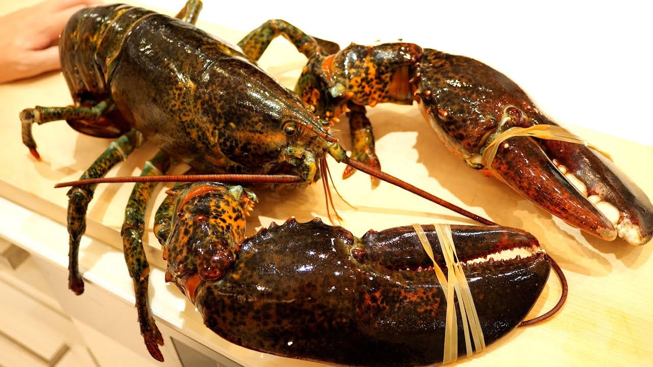 1尾１５万円の巨大ロブスターをさばいて豪快に喰らう！