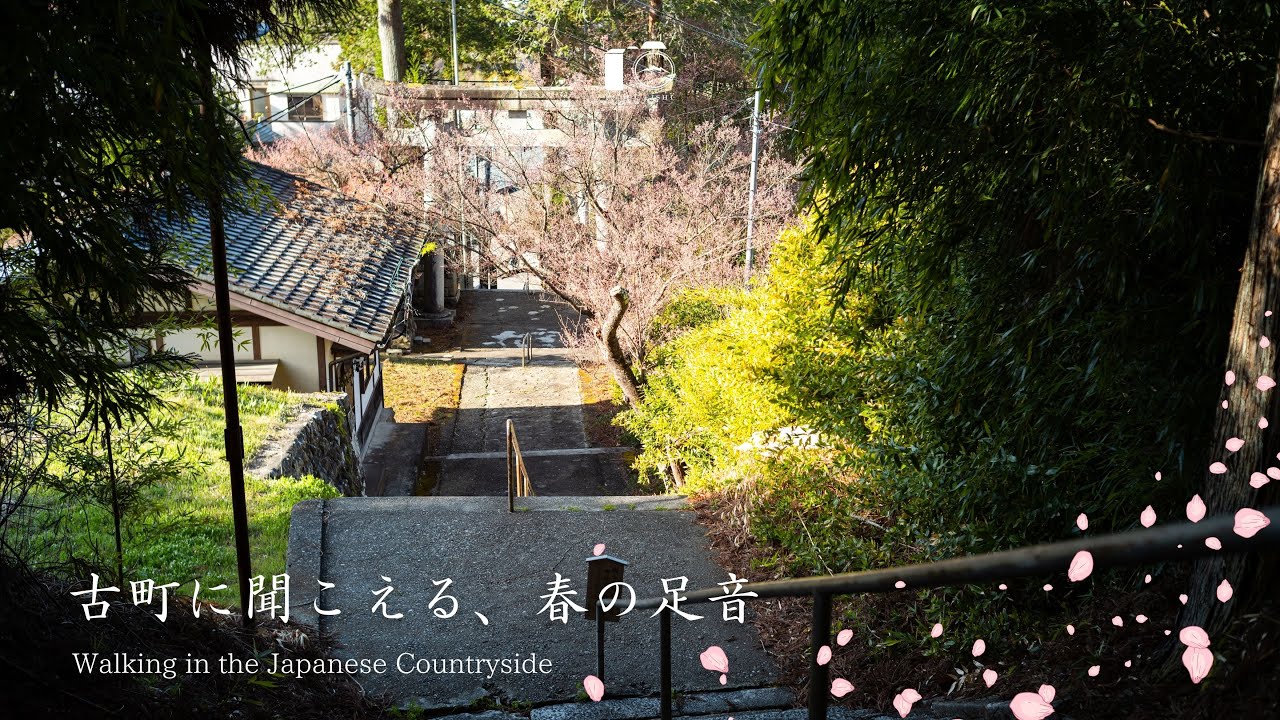 日本の田舎に春がやってきた。ノスタルジック写真｜高遠城下｜Sigma fp L / NOKTON classic 40mm F1.4