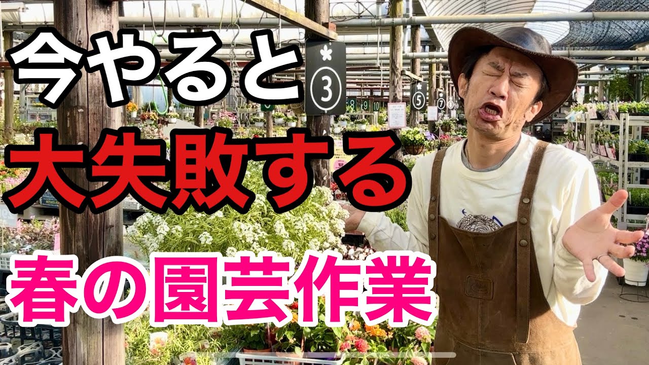 【それだけはやらないで】5月の本当にやるべき園芸作業教えます　　　【カーメン君】【園芸】【ガーデニング】【初心者】
