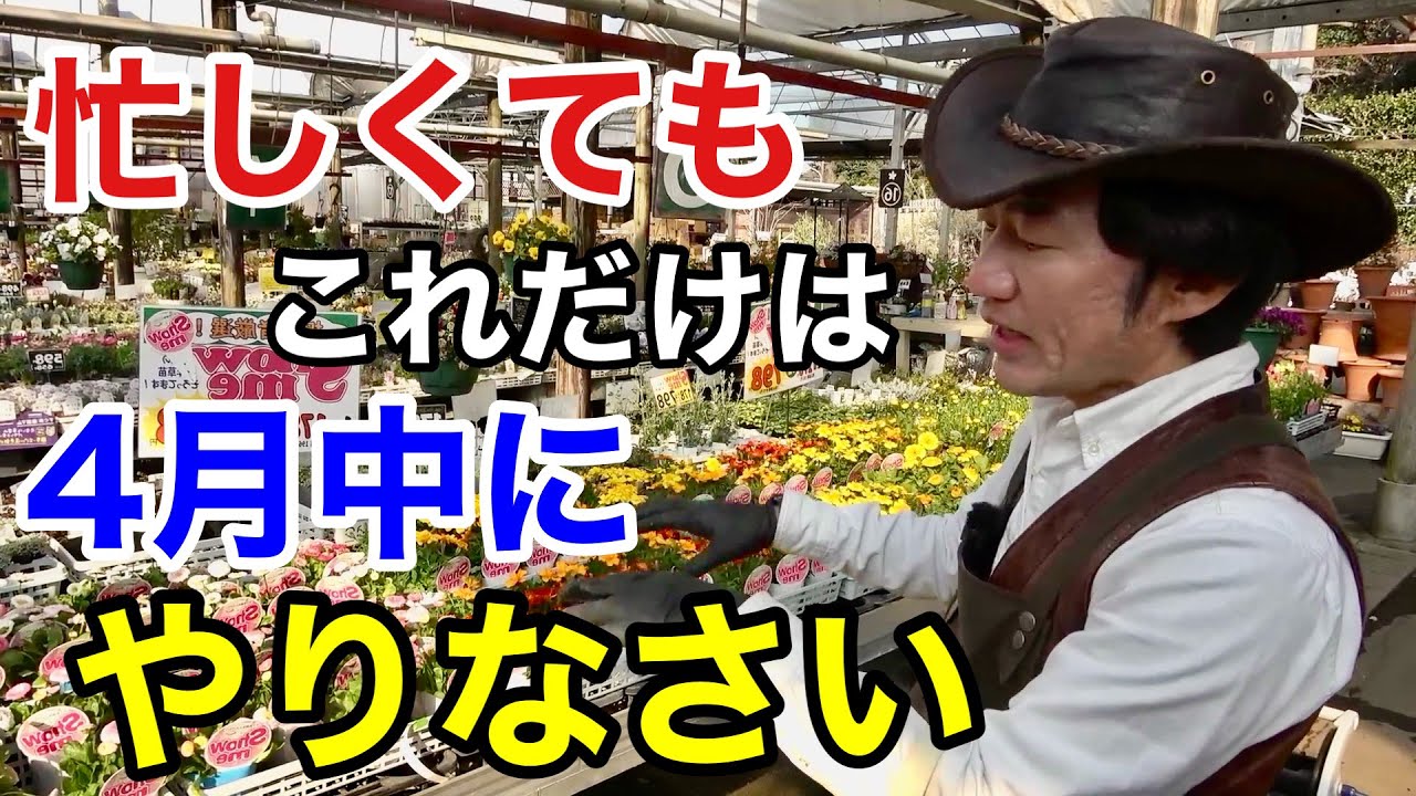 【ズボラさんでも】4月は最低限ここだけはやっておこう　　　【カーメン君】【園芸】【ガーデニング】【初心者】