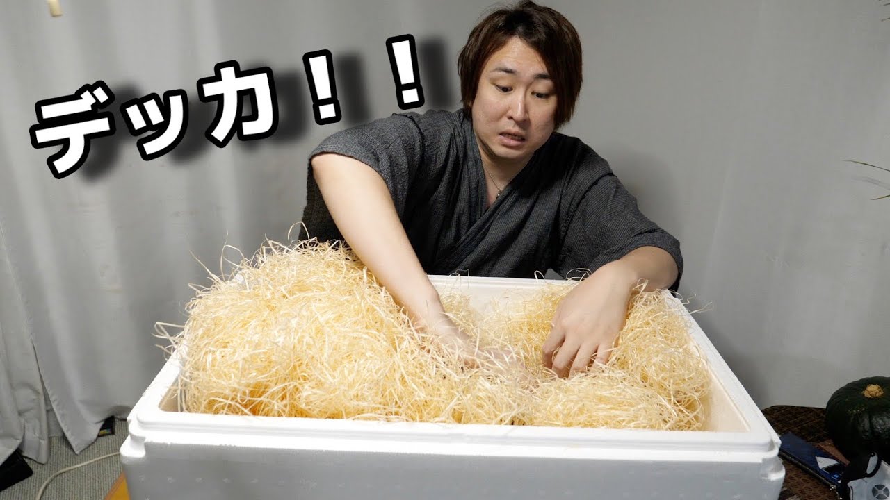大量の木クズの中から、元気すぎる見たことないエビが飛び出してきたwww