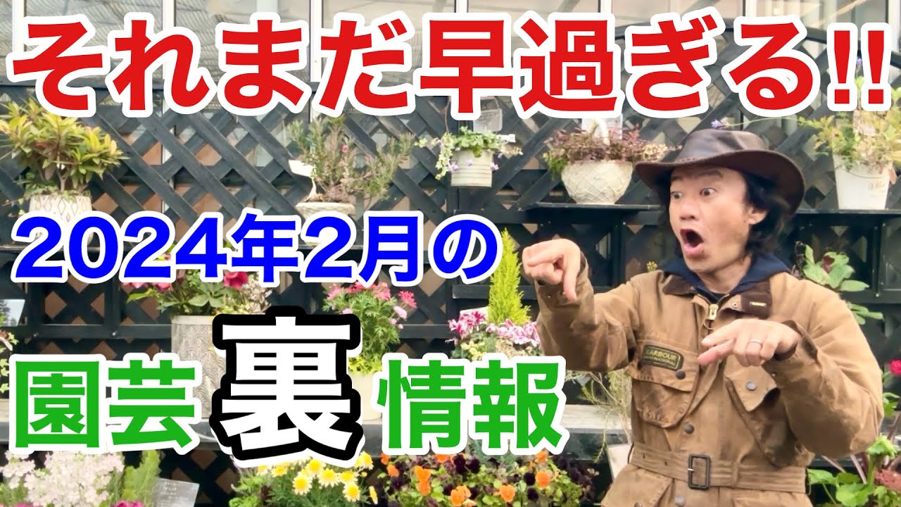 【ここだけの話】２月の園芸店ホームセンターにはご注意ください　【カーメン君】【園芸】【ガーデニング】【初心者】
