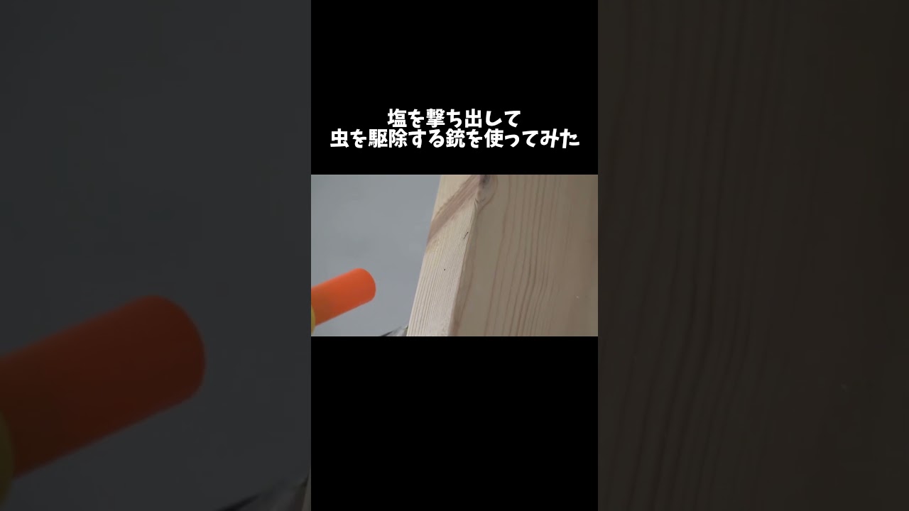 塩を撃ち出して虫を駆除する銃を使ってみた #shorts