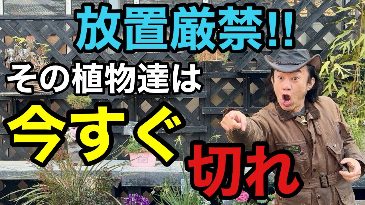 冬剪定しないと家庭では“手に負えなくなる”植物教えます