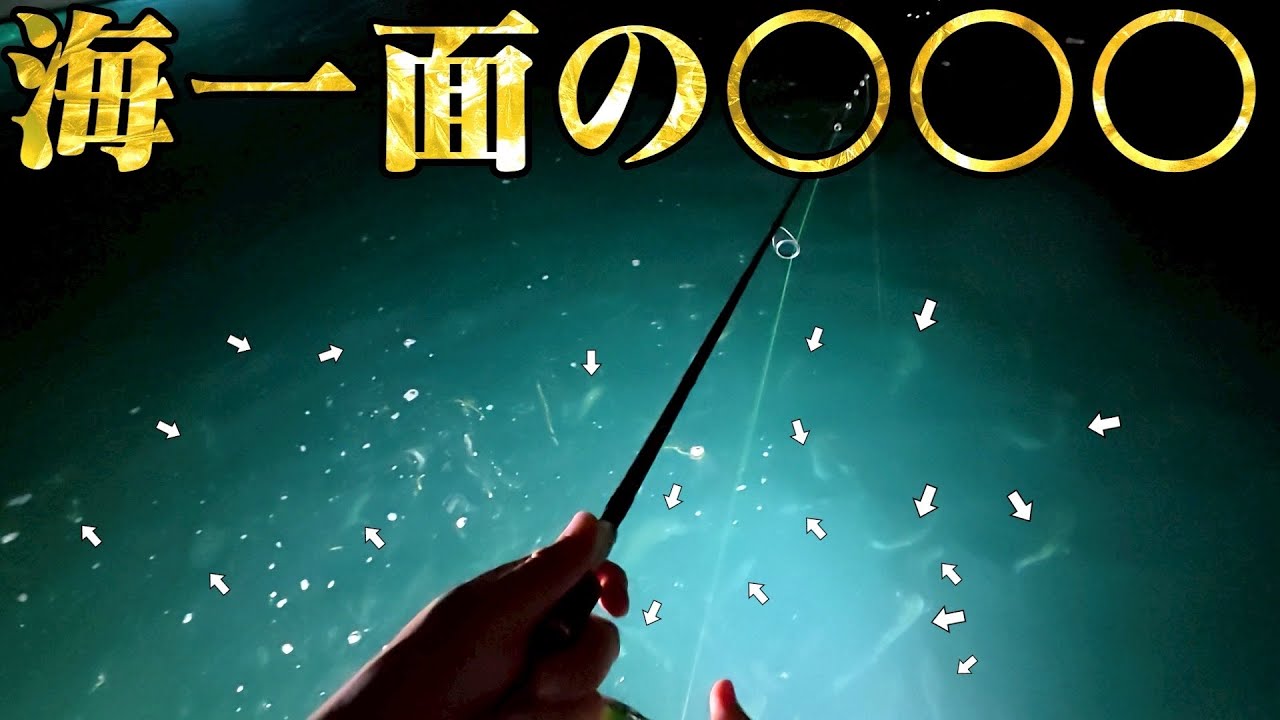 真夜中の夜の水面に現れた【超高級食材】の群れ！釣りまくってみた！