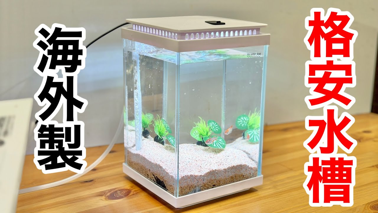 海外製の格安オールインワン水槽を買ったら大当たりでした
