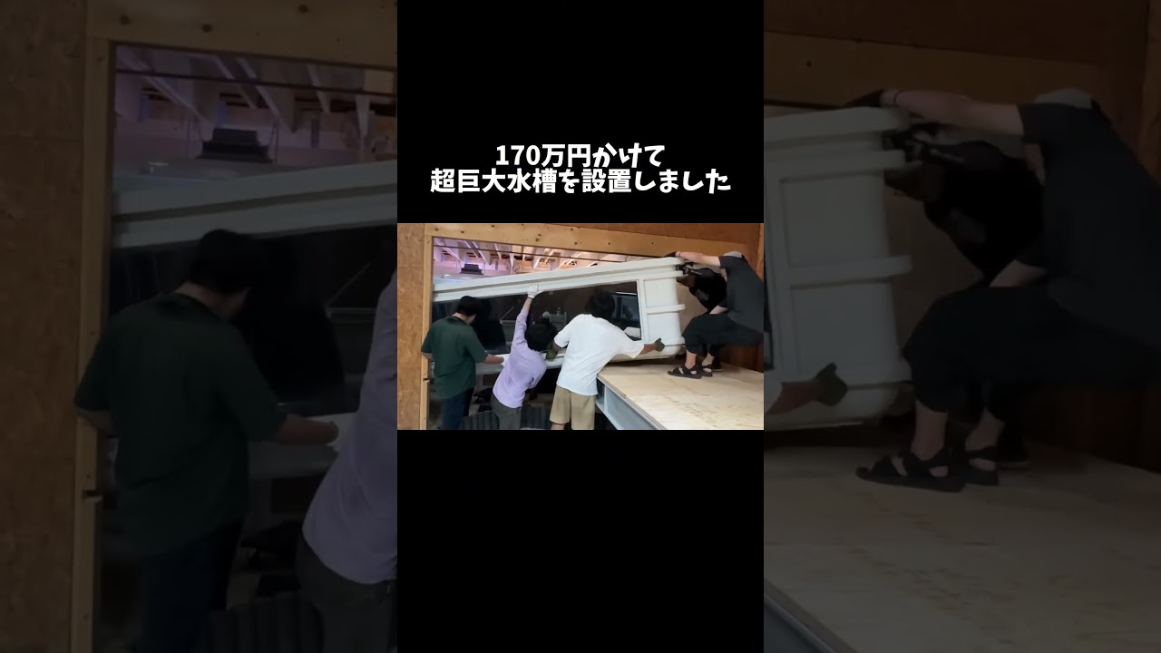 170万円かけて超巨大水槽を設置しました #shorts