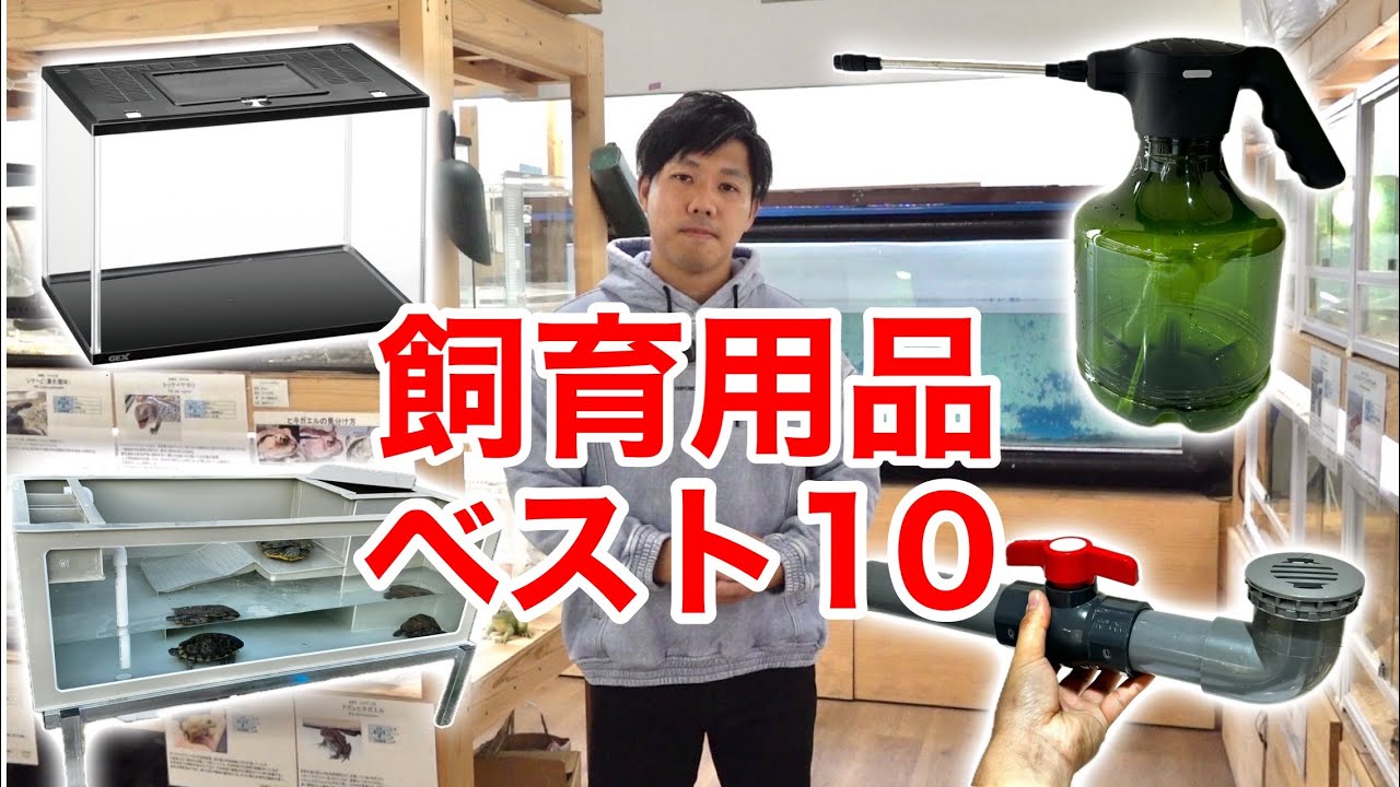 2024年買って良かった飼育用品ベスト１０を発表します