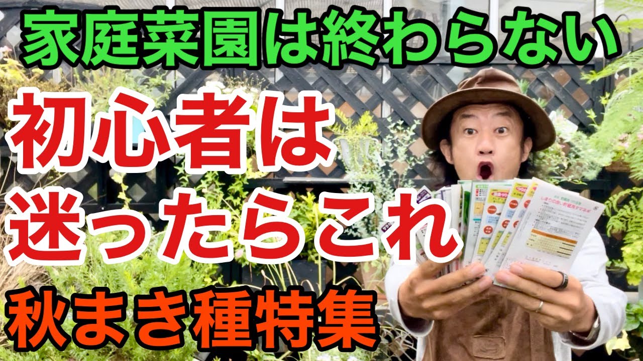 【迷っている方】秋の種まきは得しかありません　今からまける野菜の種特集　　　　【カーメン君】【園芸】【ガーデニング】【初心者】