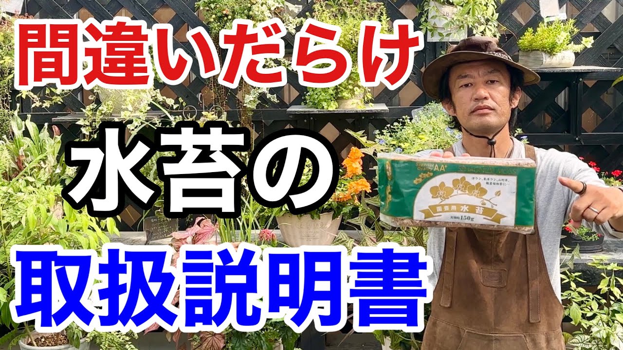 【それ違う】今更聞けない水苔の最も効果的な使い方教えます　　     【カーメン君】【園芸】【ガーデニング】【初心者】