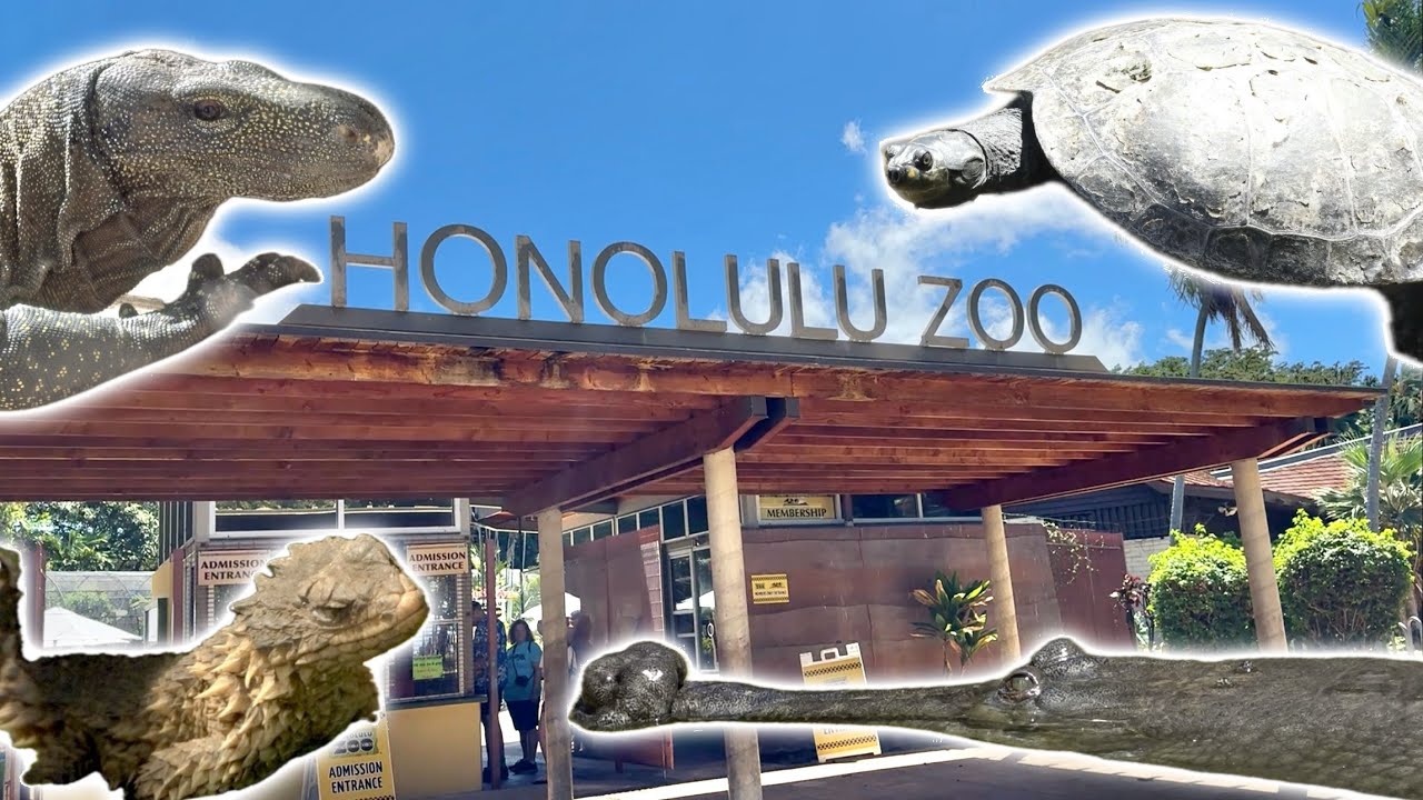 巨大な爬虫類だらけのハワイの動物園が楽し過ぎた・・・！
