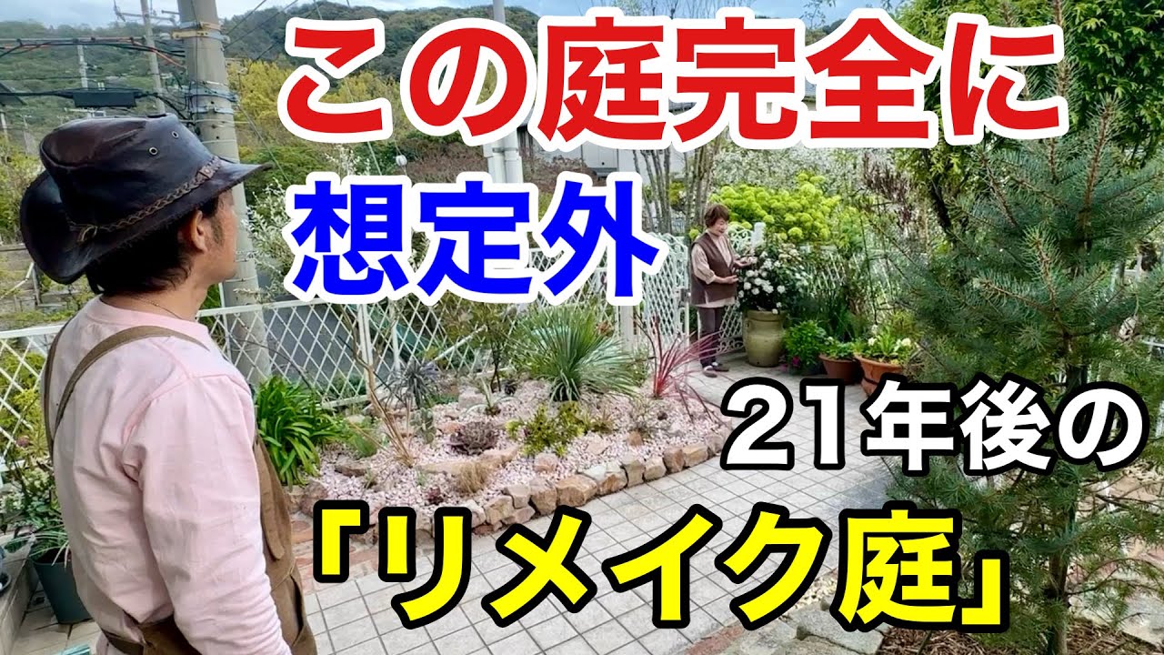 【これがリアルリメイク】オーナーがとんでもなく面白い神戸の個人庭　　　　【カーメン君】【園芸】【ガーデニング】【糸嶺さん】