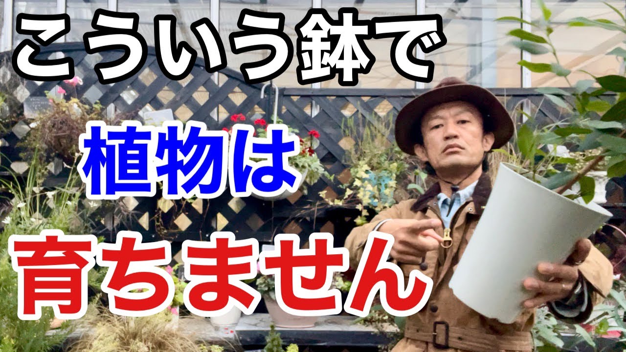 【残念なお知らせ】植物を育てる鉢の特徴教えます　【カーメン君】【ガーデニング】【スリット鉢】