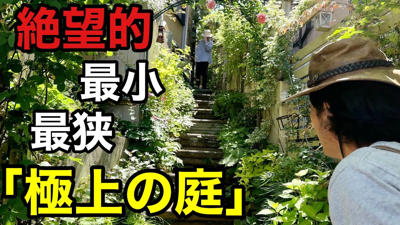 【敷地面積40坪】狭くて暗い庭を極上に仕上げる景子さんのお庭　　　【カーメン君】【個人庭】