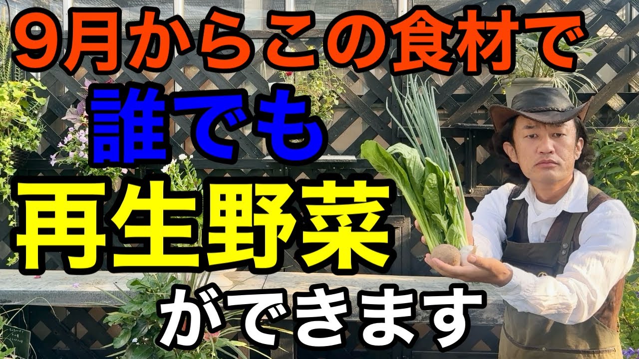【今がチャンス】スーパーで買った野菜はまた再生させ収穫する事ができます。　　　　　　　【カーメン君】【園芸】【ガーデニング】【リボベジ】