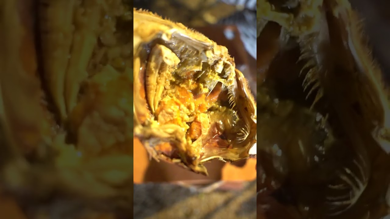 【七輪】焼きケジャンがうますぎる！　#asmr #seafood