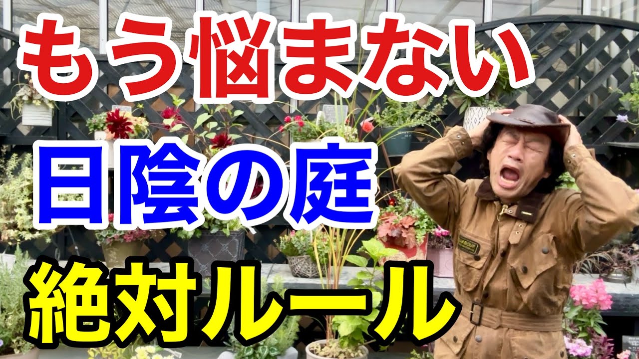 【実はよく育つ】日陰で植物を育てるなら必ずこれをして下さい　　　【カーメン君】【園芸】【ガーデニング】【初心者】