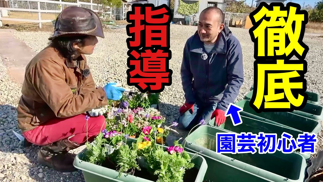 【お花を植えた事がない】老人ホームに大量のお花をプレゼントしてきました。　　　　　　　　　【カーメン君】【園芸】【ほたる阿久比】【初心者】