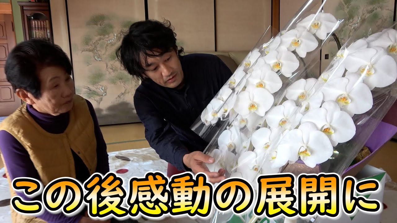 77歳YouTuberの誕生日にダイヤモンド胡蝶蘭をサプライズプレゼントしてみた【ひろちゃん農園】【カーメン君】【園芸】【ガーデニング】