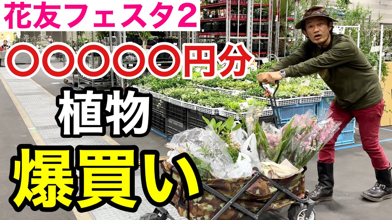 【次回開催地発表】花友フェスタ2でお金無くなるまで買い物しました　　　　　【カーメン君】【リエール】