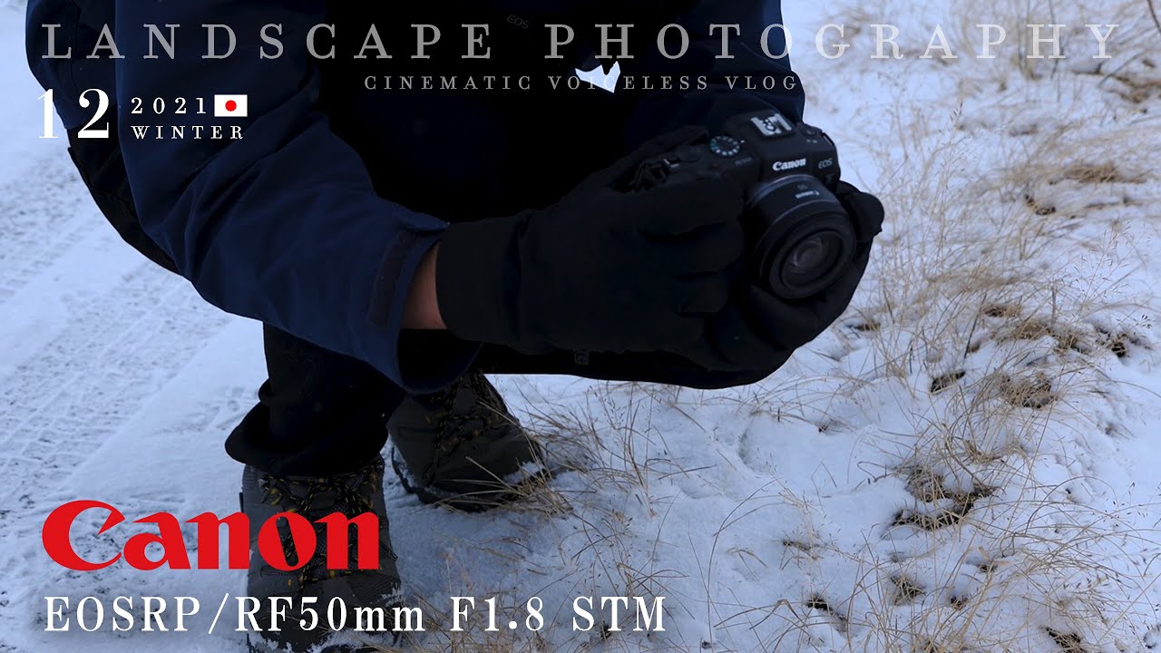 【EOSRP・RF50mm F1.8 STM】RAW配布・作例 | レインボーストーブと雪景色 - スナップ写真
