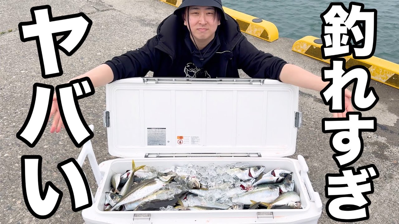 巨大アジとサバが無限に釣れる穴を見つけてしまいました。1時間でクーラー満タン！！