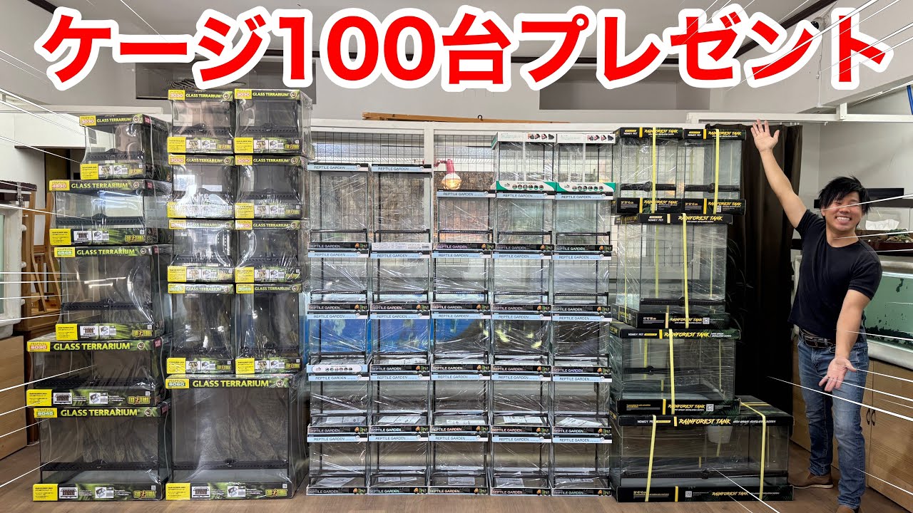 チャンネル登録者100万人突破を感謝してガラスケージを100人にプレゼントします