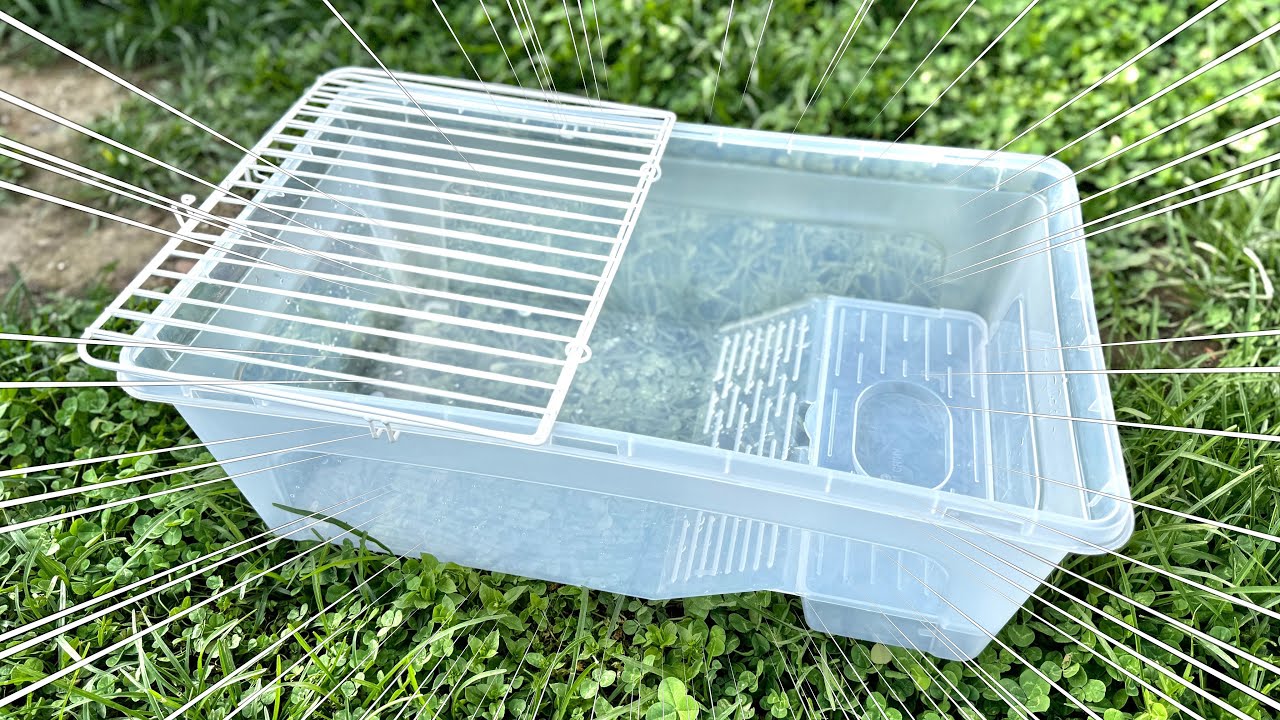 子ガメを屋外で飼育出来る最強の容器を発見しました