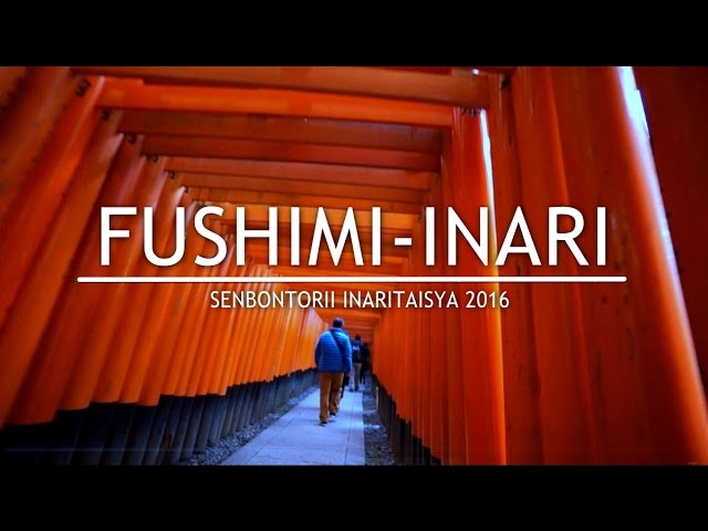 京都　伏見稲荷　千本鳥居 2016　KYOTO fushimiinaru  sennbontorii