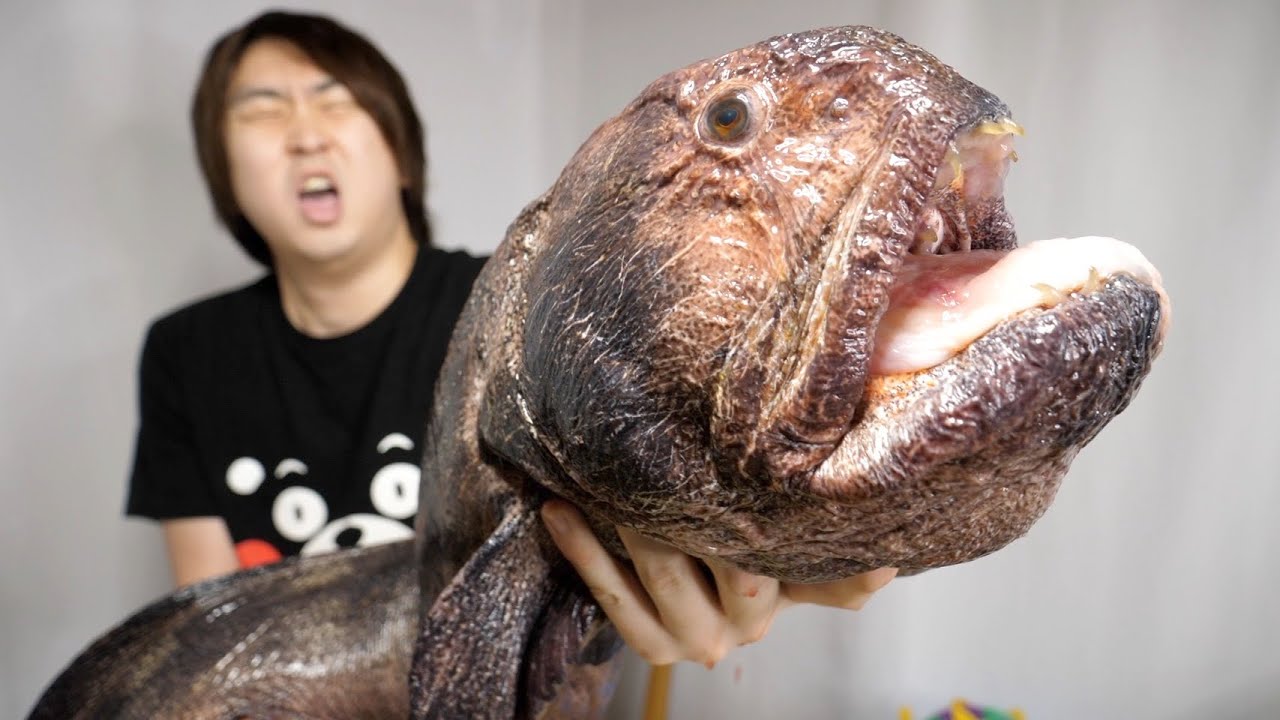 なんでも噛み砕いてしまうキバを持つ魚『オオカミウオ』のとある部位がうますぎる！