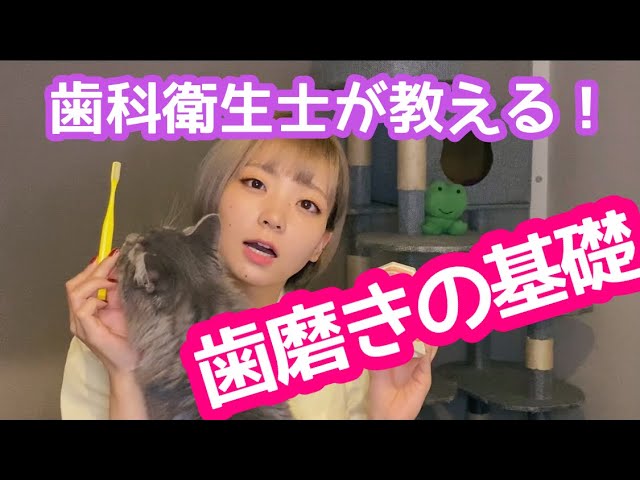 歯科衛生士が教える！正しい歯磨きのやり方！