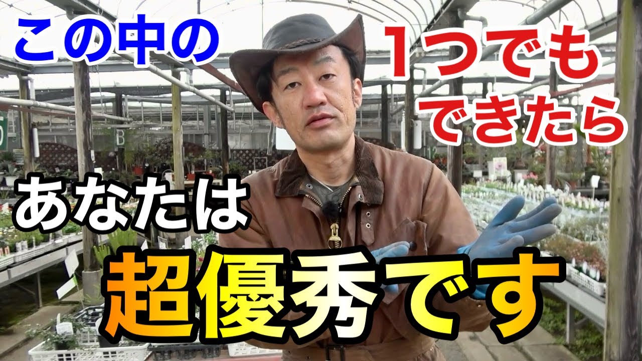 【頑張りたい方限定】今やって絶対に後悔させない園芸準備10選　　　　　　【カーメン君】【園芸】【ガーデニング】【初心者】