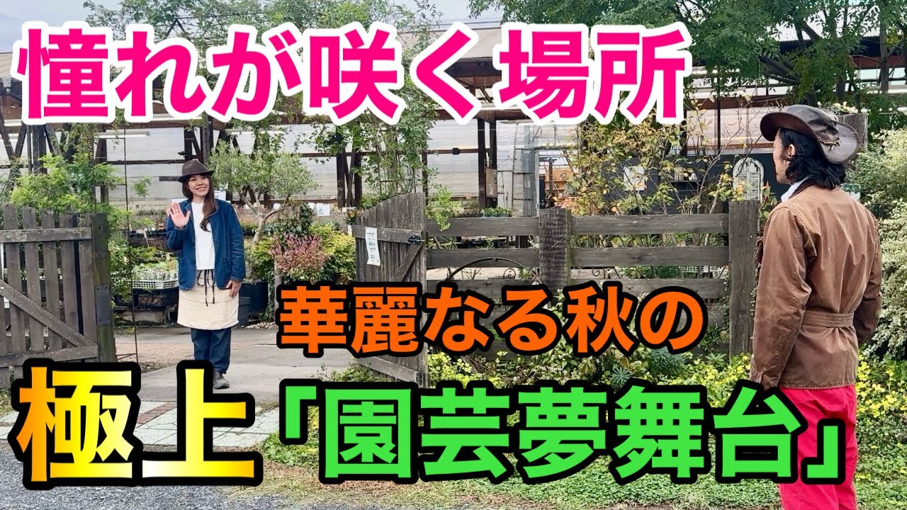 【鳥肌級の衝撃】今埼玉の園芸店がとんでもない事になってます。。。　　【カーメン君】【フローラ黒田園芸】【さにべる】