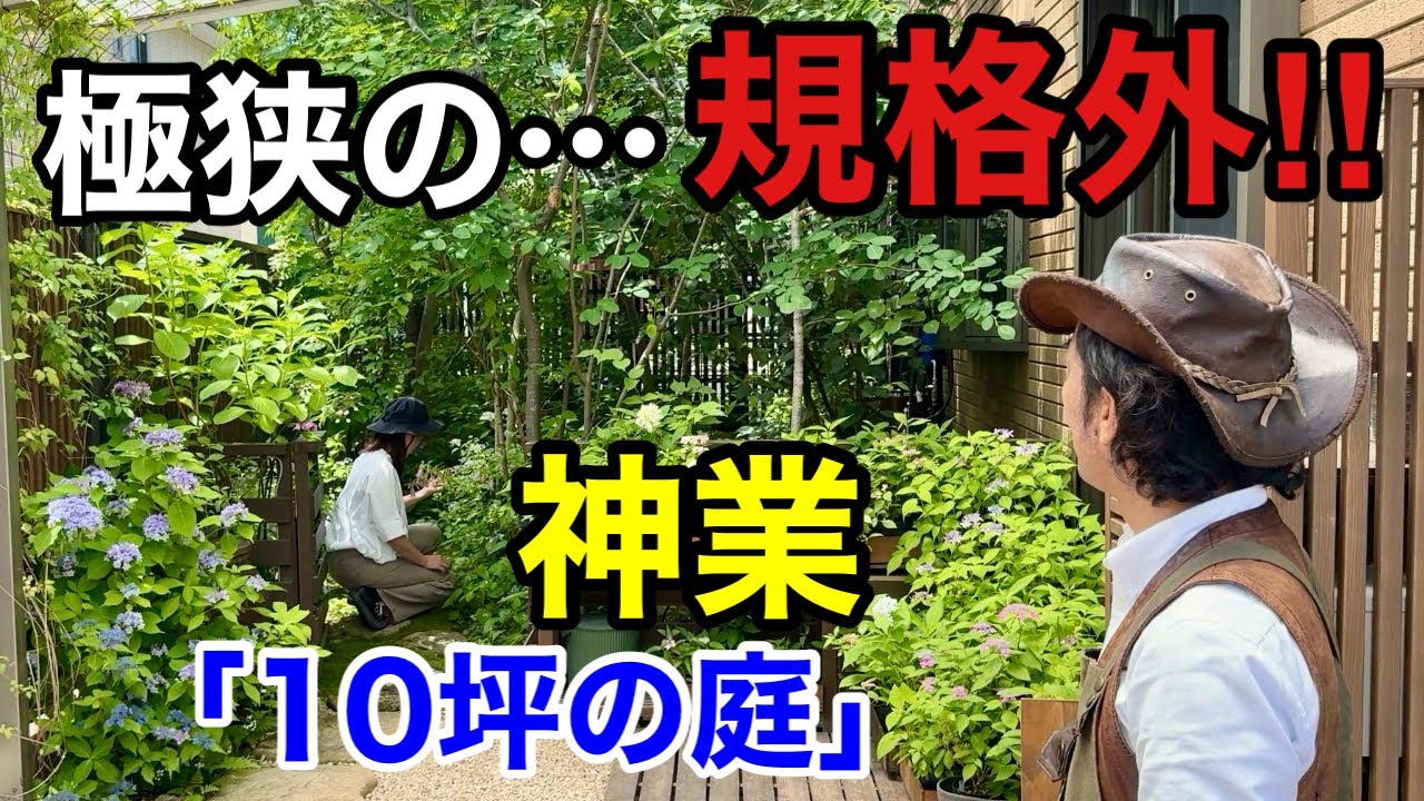 【紫陽花70種】ちょとまって！この庭とんでもない事になってるぞ。。。　 【カーメン君】【園芸】【ガーデニング】【初心者】