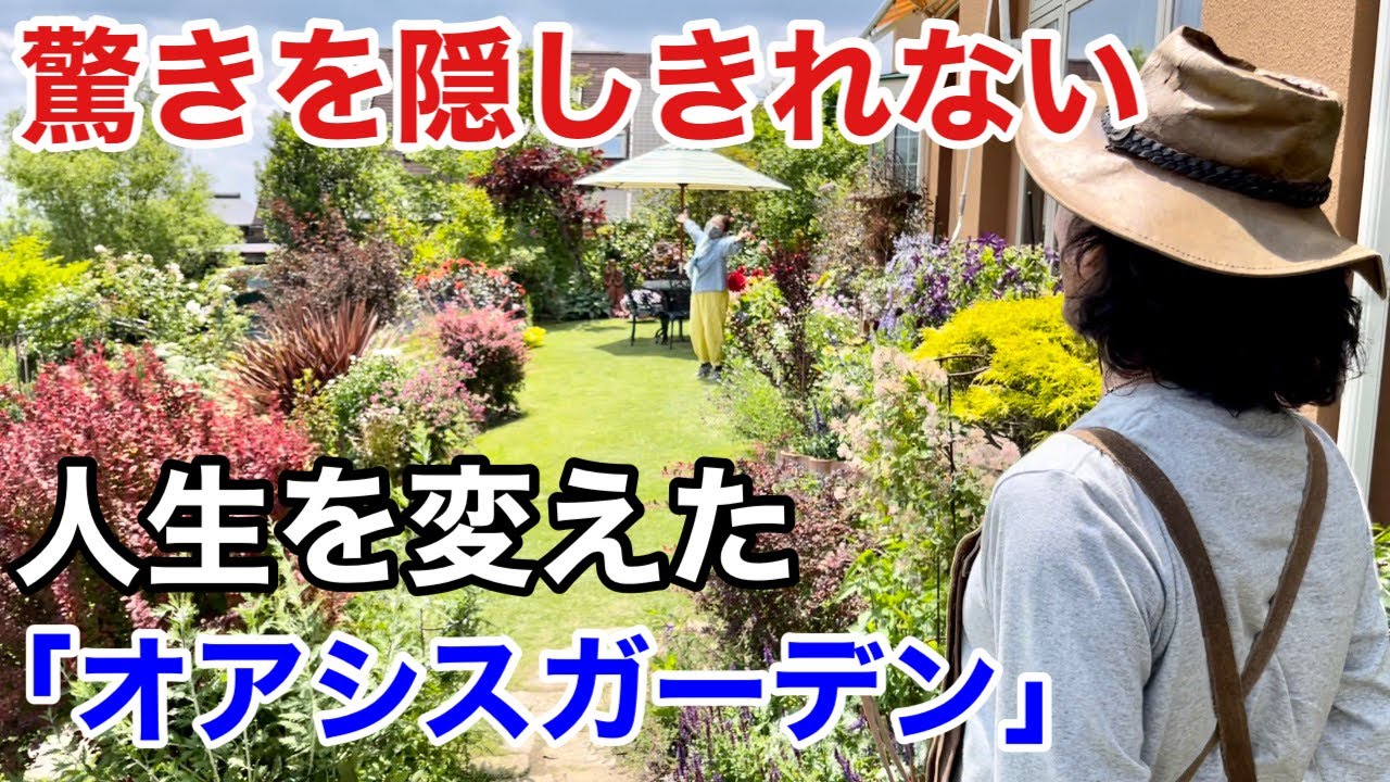 【衝撃の2段構え】 庭づくりで人生は変わります　                                    【カーメン君】【園芸】【ガーデニング】【個人庭】【山本さん】