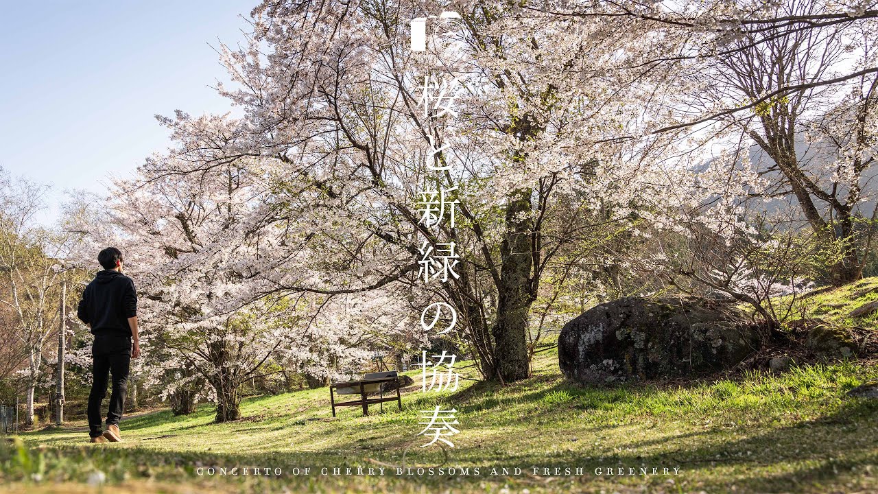 【風景写真】春の終わりと新緑の芽吹き - 長野の絶景