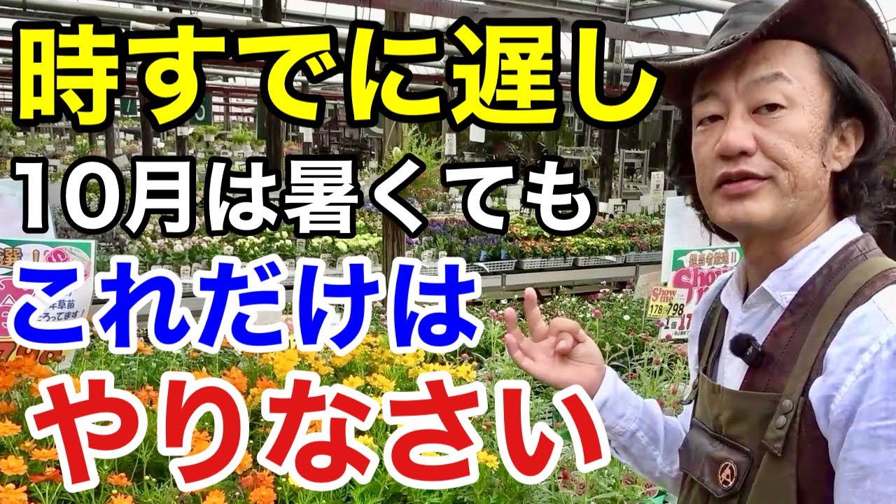 【10月の園芸作業】すぐにやっていかないと取り返しがつかなくなります　　　【カーメン君】【ガーデニング】【初心者】