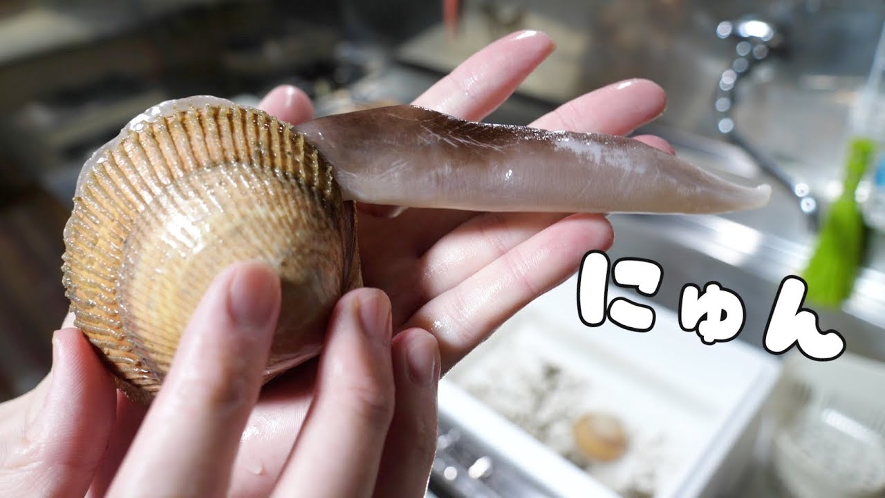 つつくと怒って出てくる貝が可愛すぎるwww 【トリガイのさばき方】