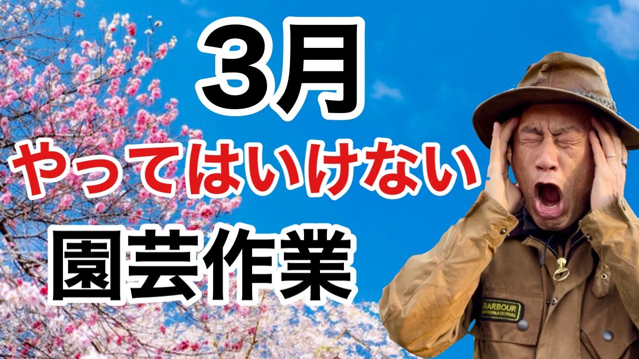 【要注意】３月にやってはいけない作業が３つあります　　　【カーメン君】【園芸】【ガーデニング】【初心者】